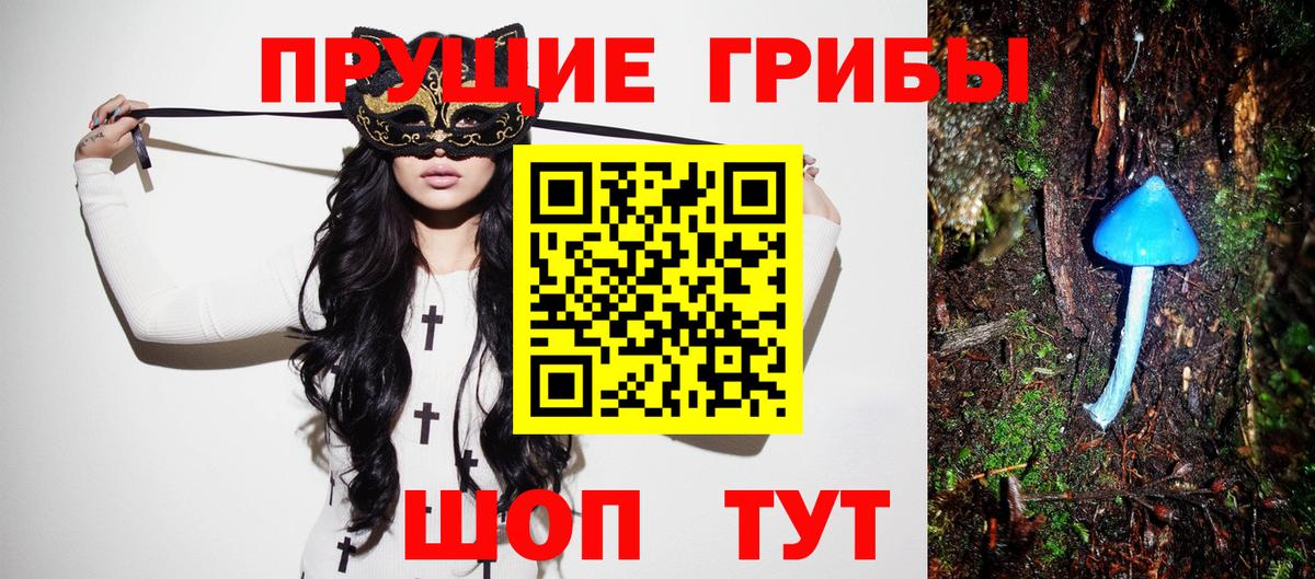 Вязьма  Галлюциногенные грибы мухоморы  Вход с VPN 