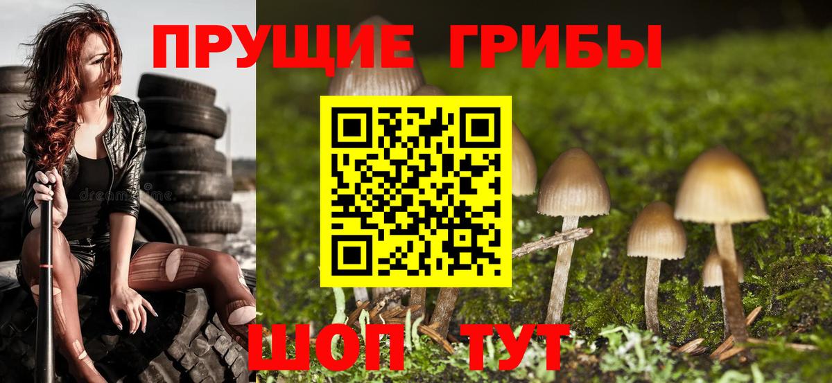 Галлюциногенные грибы Cubensis Вязьма